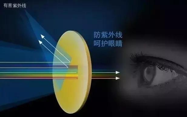 可随身携带的儿童显微镜,kenko儿童显微镜