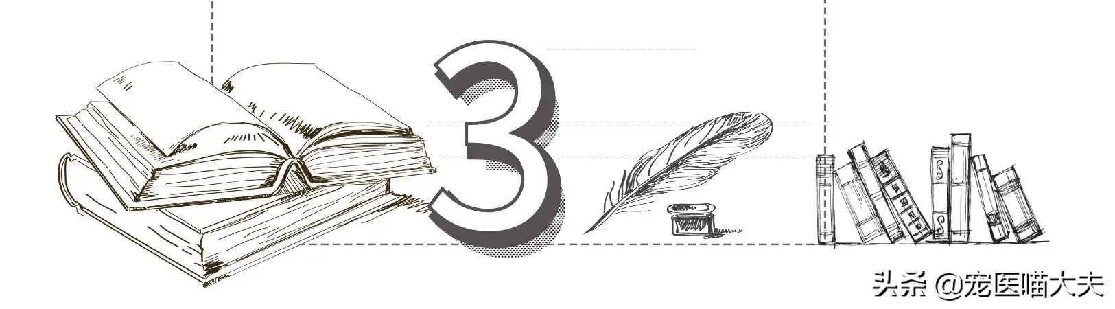 猫狗大战猫和狗打架,猫狗大战catsanddogs