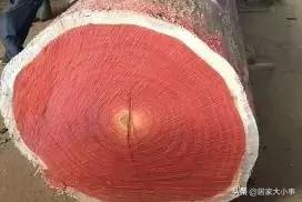 小米性价比最高的老旗舰,罗永浩小米产品