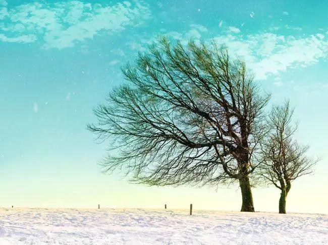 二十四节气小暑手抄报,二十四节气小暑完整版