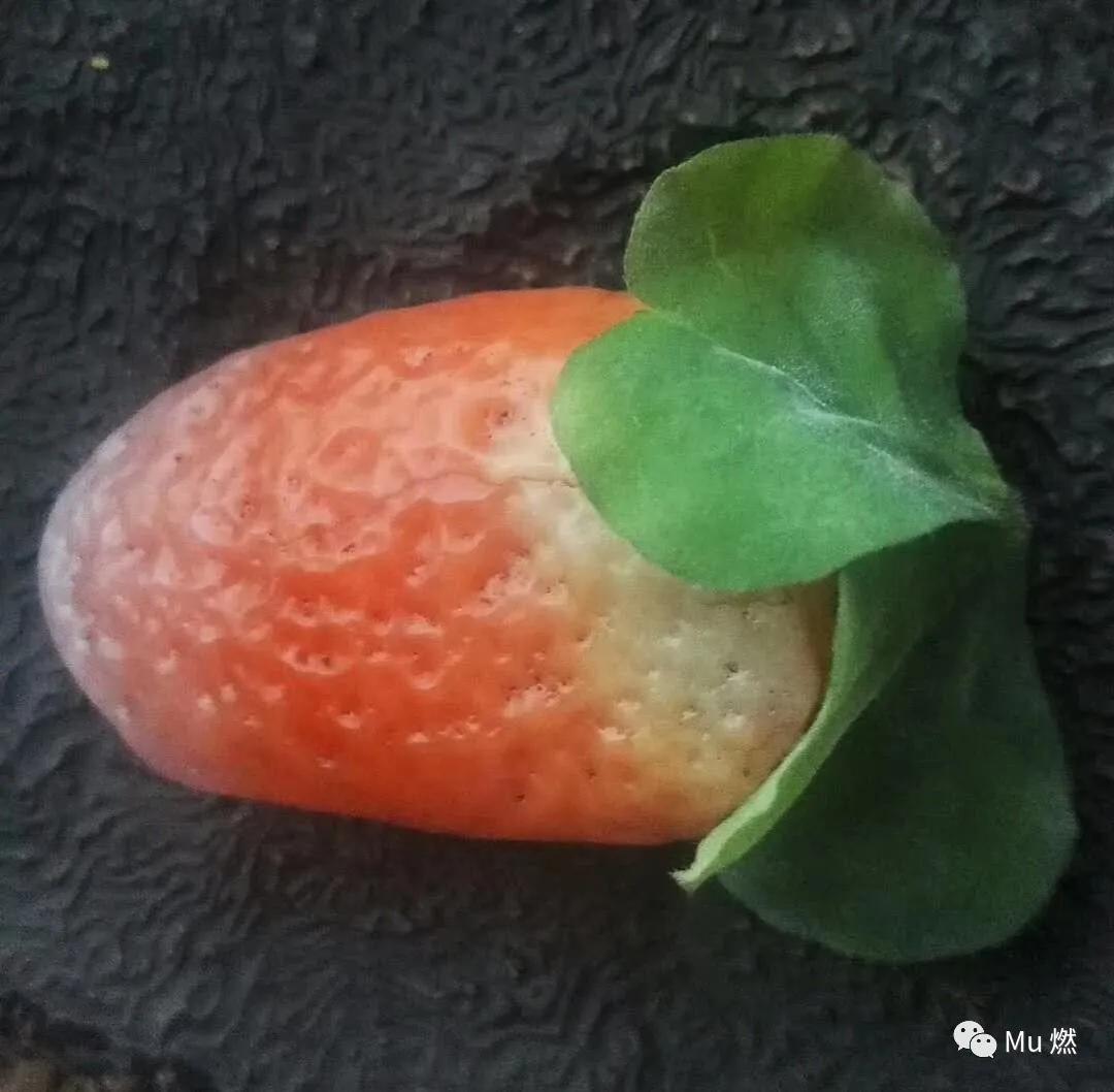 品石之路第1章,品石之路第一百六十六章