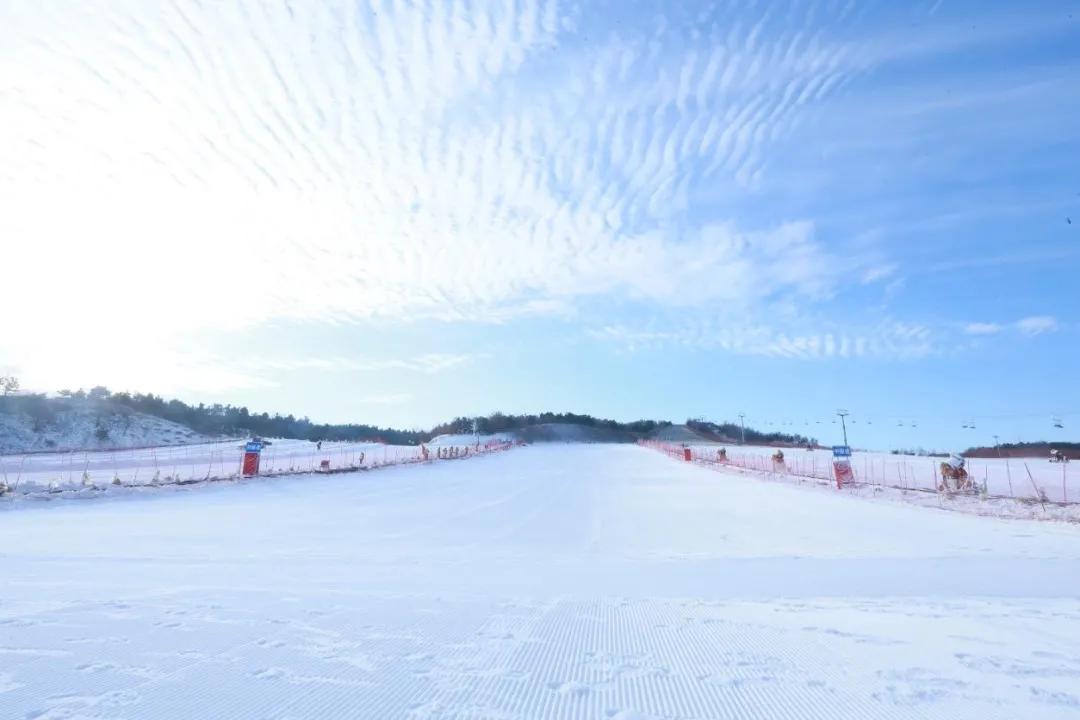 青岛冬天打卡圣地,青岛过年打卡景点有哪些