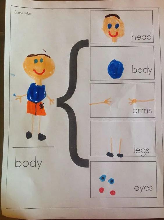 小学数学学霸思维导图五年级上册,学霸三年级下册数学思维导图