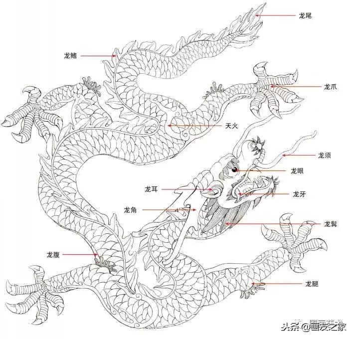 李晓明工笔《龙》步骤图文教程