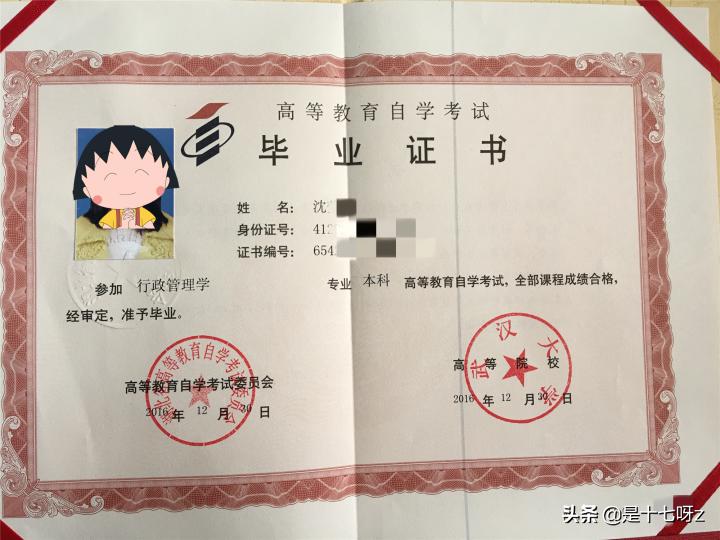 2019湖北武汉大学自考本科行政管理专业报名详细解析