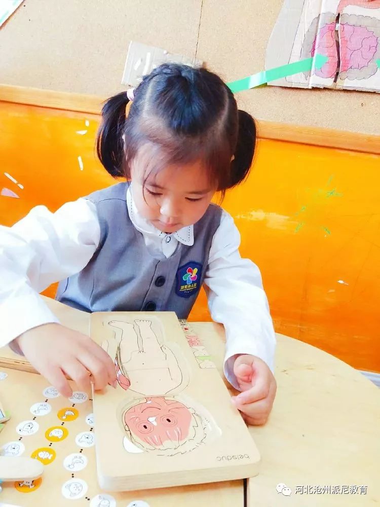 身体大揭秘动画,身体大揭秘