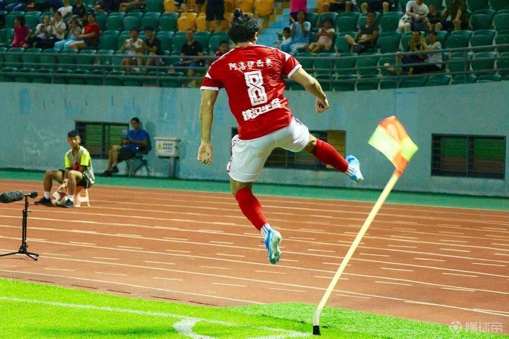 野牛进家,野牛加入国家队