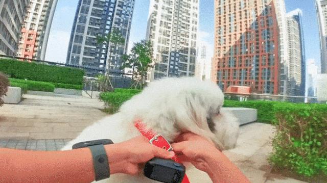 断网也能玩的fps游戏,断网也能玩的射击类游戏