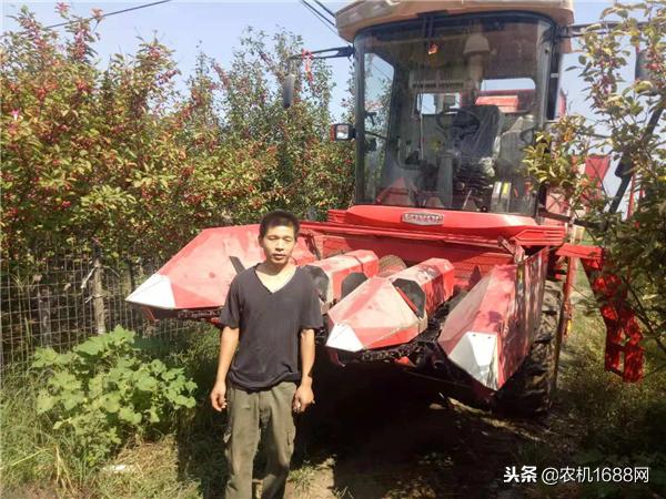 雷沃谷神全部图片,雷沃谷神几代驾驶室有什么区别