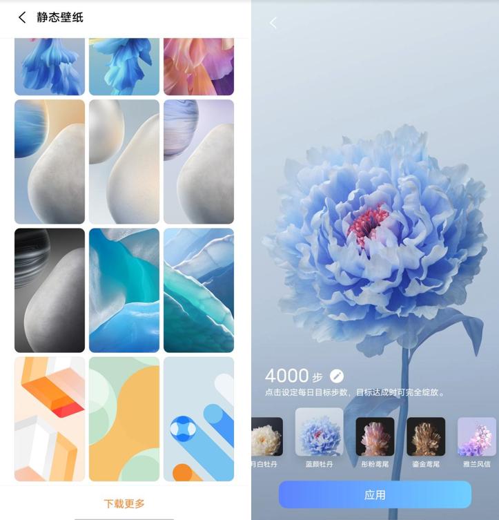 originos新系统什么时候可以用,originos体验最新