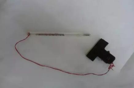 猪场全部猪整体体温低是怎么回事,猪量体温如何使用温度表