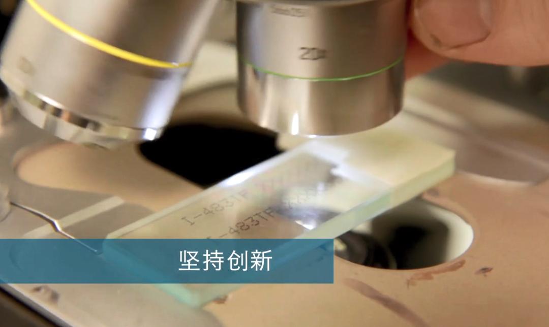 这个团队，全力以赴为您提供理想的解决方案