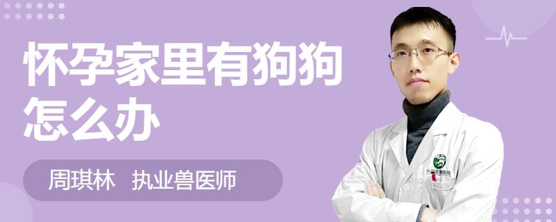 怀孕和狗狗呆一起有影响吗,怀孕可能跟狗狗接触吗