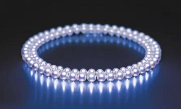 淡水珍珠和海水珍珠哪个值钱,海水珍珠和淡水珍珠的价格