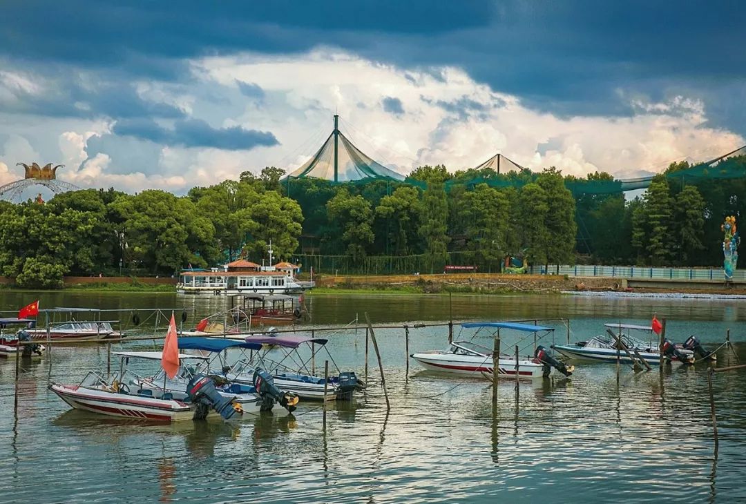 为什么武汉人喜欢广东人,为什么武汉人喜欢四川人