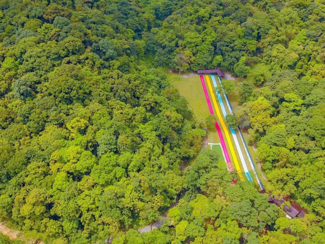 网红玻璃桥悬崖秋千,网红旅游打卡玻璃滑道