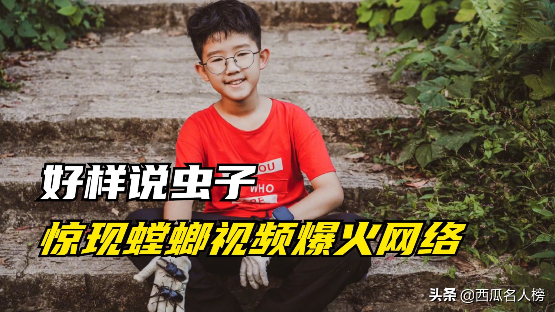 好样说虫子：惊现螳螂爆红，同学眼中“小怪人”，行走的百科全书