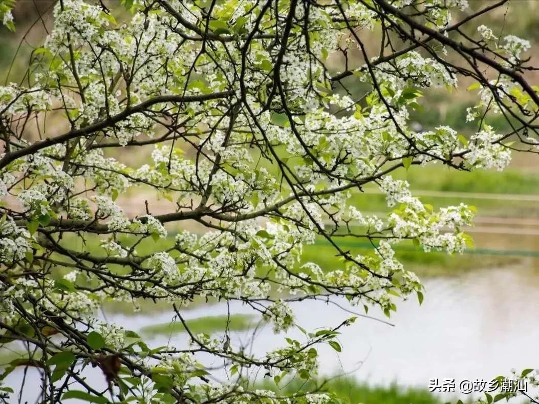 潮汕海山风情图片,饶平海山风情