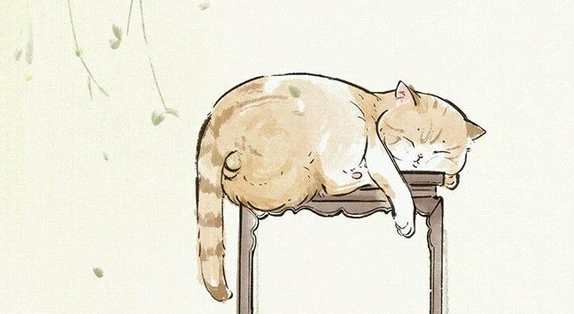 十大最好的意外险,比较靠谱的意外险