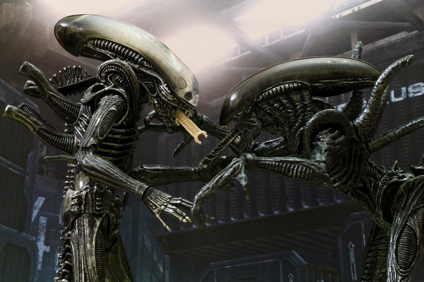 寮傚舰vs閾佽鎴樺+娣卞害瑙h,涔愰珮閾佽鎴樺+vs寮傚舰