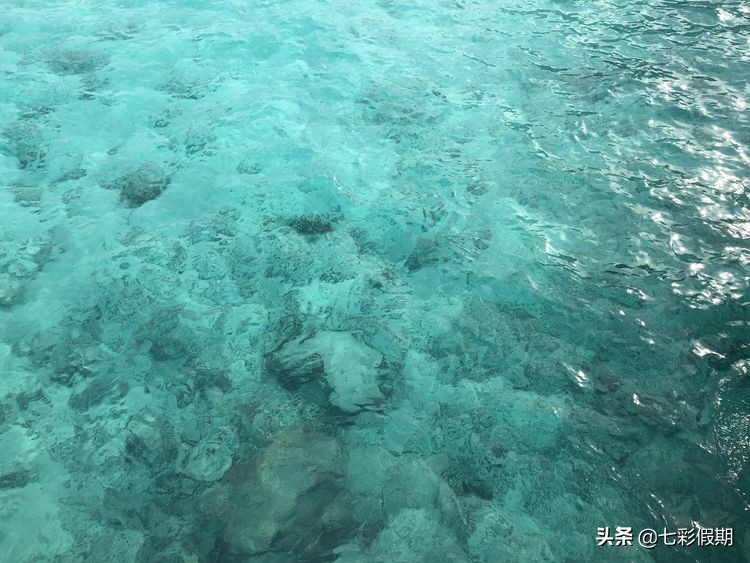 马尔代夫一家人旅行攻略,马尔代夫旅游一家四口跟团
