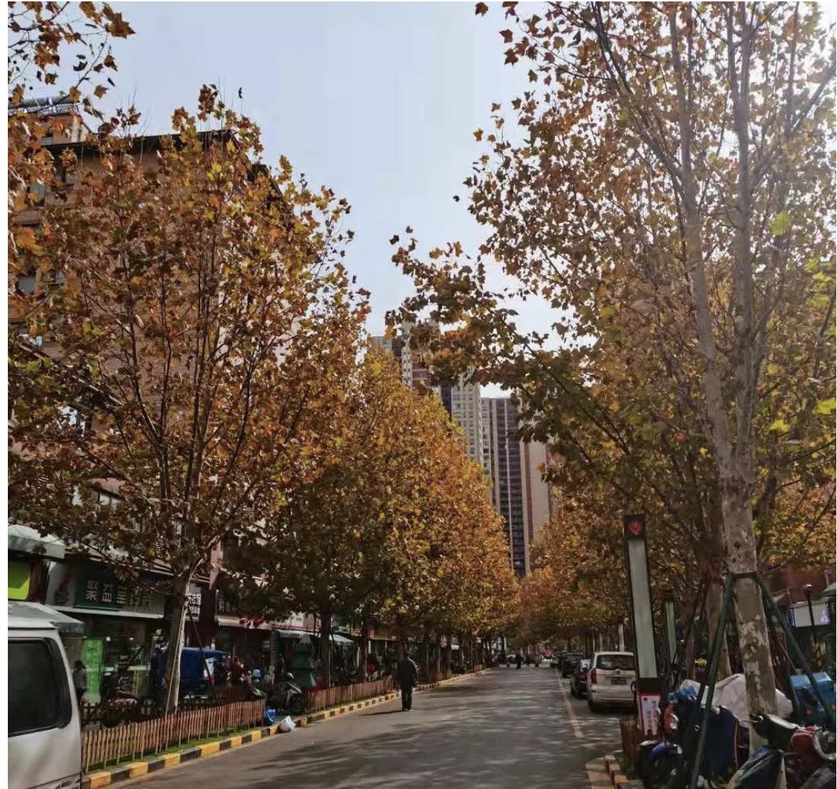 你想不到的花桥巨变，鲤鱼跃龙门可能就在这一次！