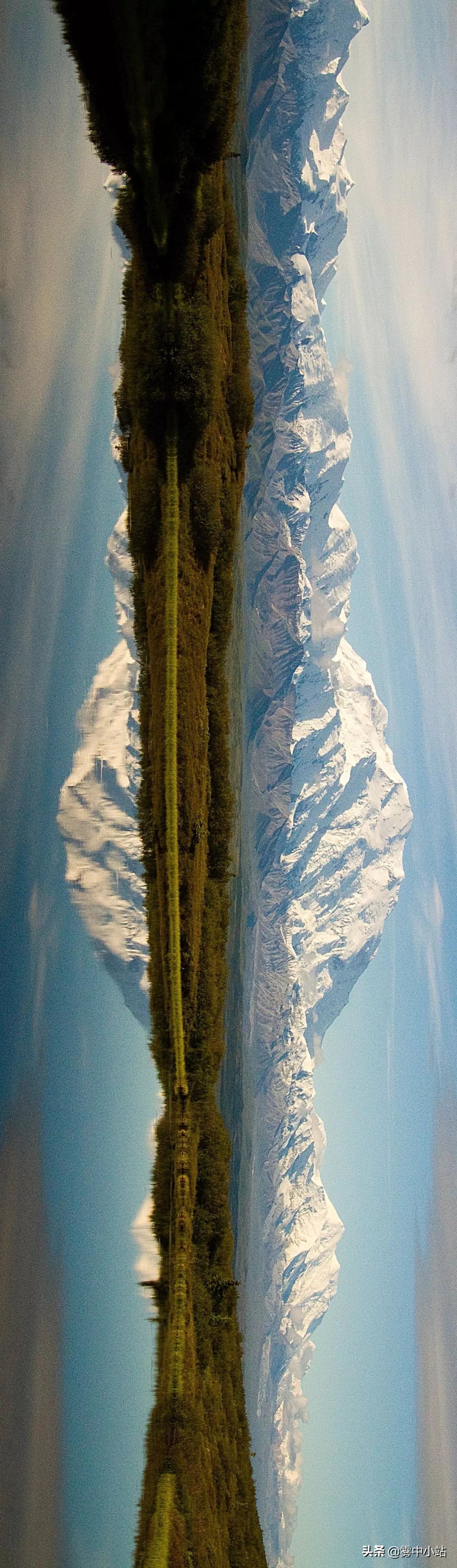 最便宜阿拉斯加多少钱,最便宜又大的阿拉斯加