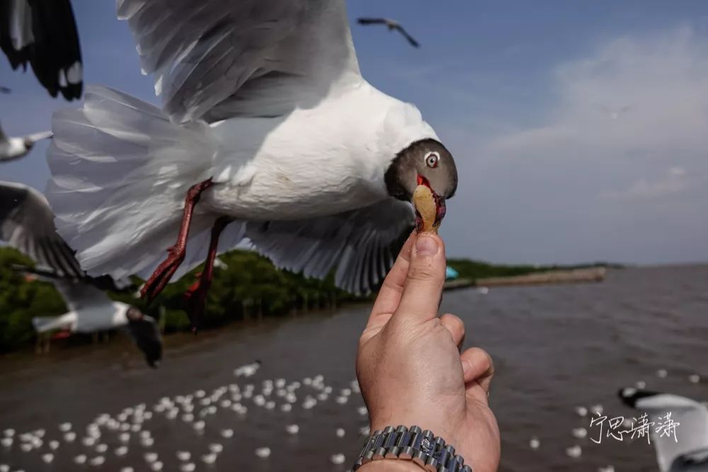 告别平谈的照片吧！17招让你的照片有大片感