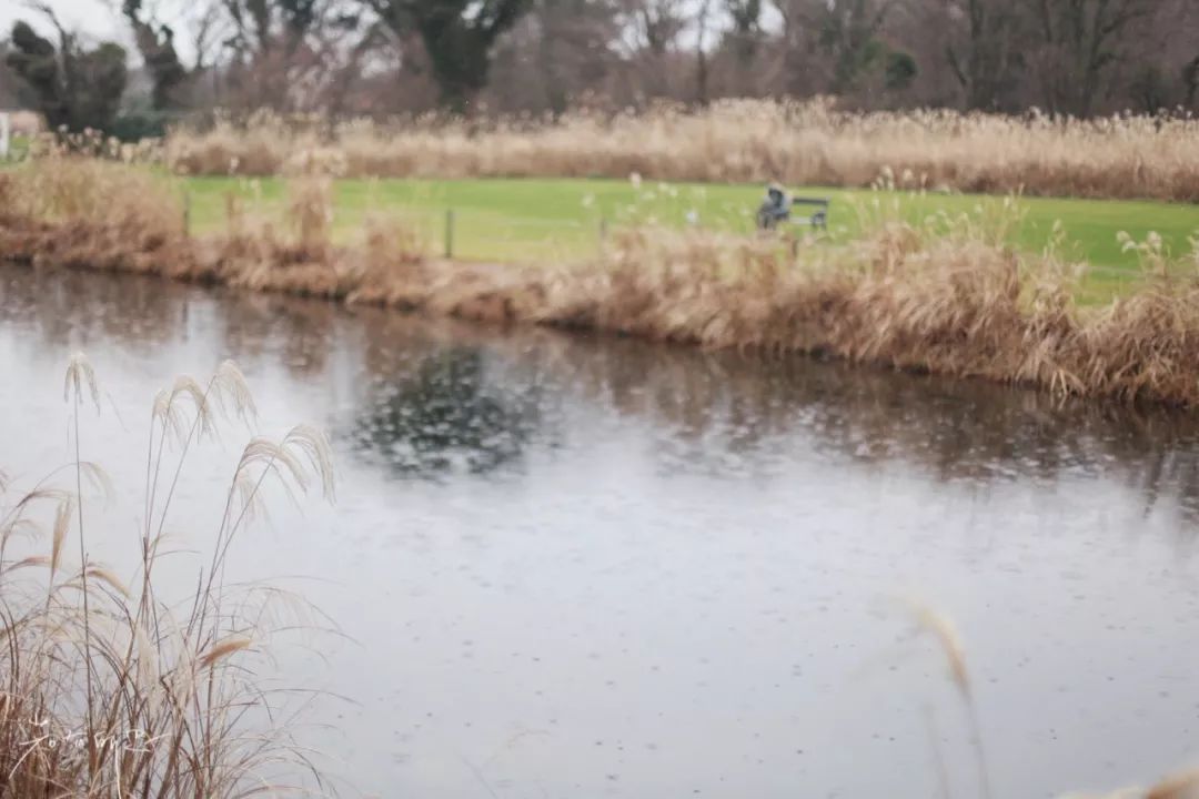 济州岛应该冬天去还是夏天去,冬日济州岛怎么玩