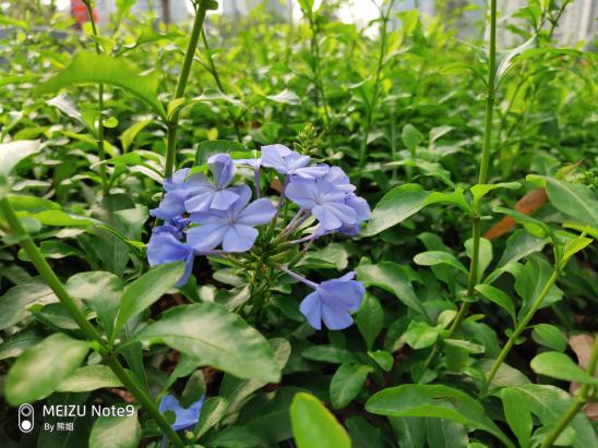 魅族note9全部功能,魅族note9能不能吹一波