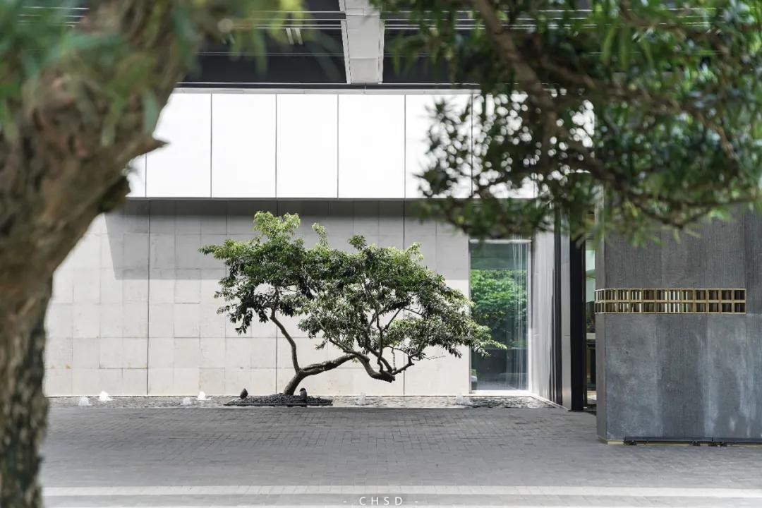 明星都来打卡的店,众多明星大咖打卡的酒店