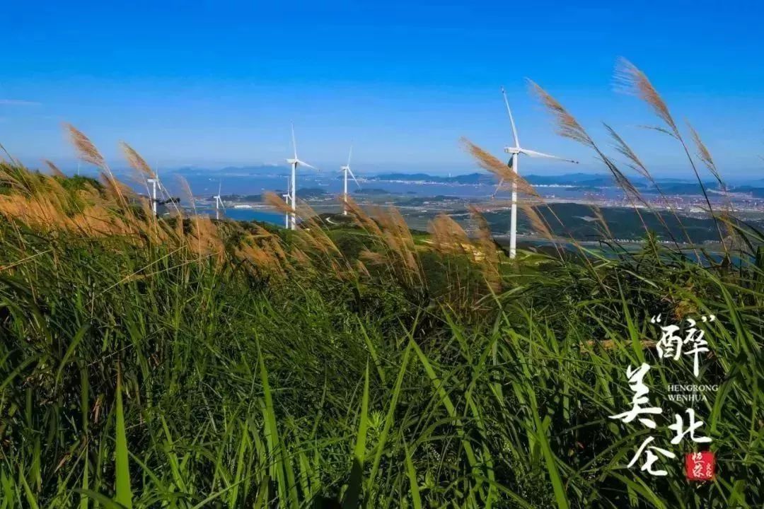 家在北仑,我有一个家北仑