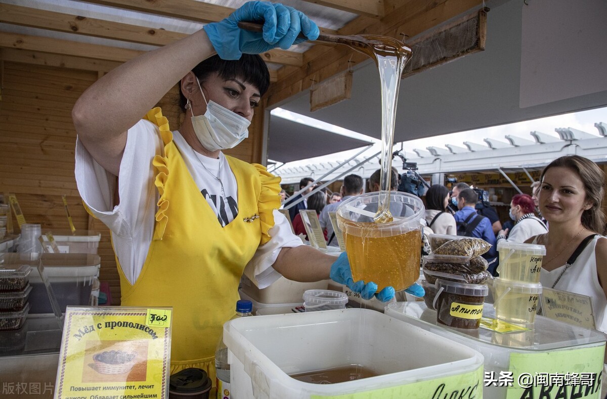 养蜂怎么引蜜蜂,怎么养蜂才能快速繁殖蜜蜂
