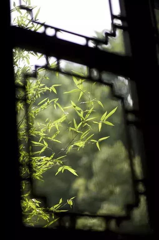 中国超大复古窗,33框门窗