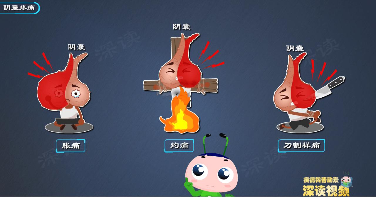 睾丸又肿又痛连着小腹痛,急性附睾炎为什么会高热