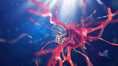 不可思议！腊八蒜不仅能软化血管还能抗癌？宝鸡妈妈们快动手做……