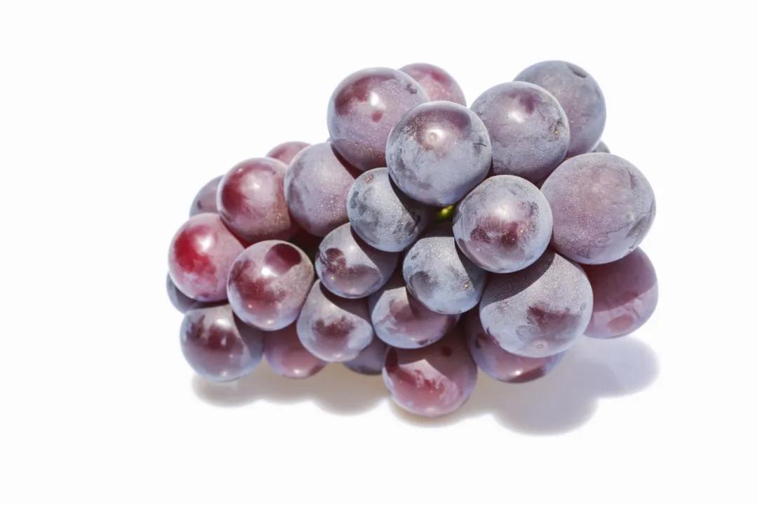 鍗佸牥瓒呭叏钄彍姘存灉,鍗佸牥鏂伴矞姘存灉