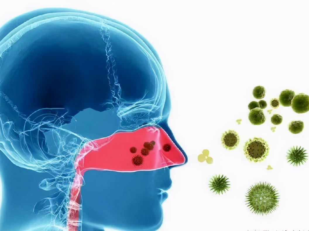 建水人注意了这东西不能碰,来建水了要注意什么