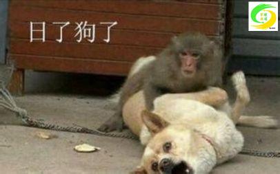 暖通设计师需要什么知识,暖通设计师简历