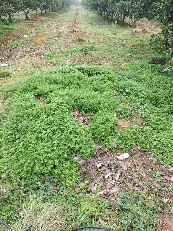 约翰迪尔6b954跟6b1204有什么区别,约翰迪尔6b954和6b1404哪里不一样