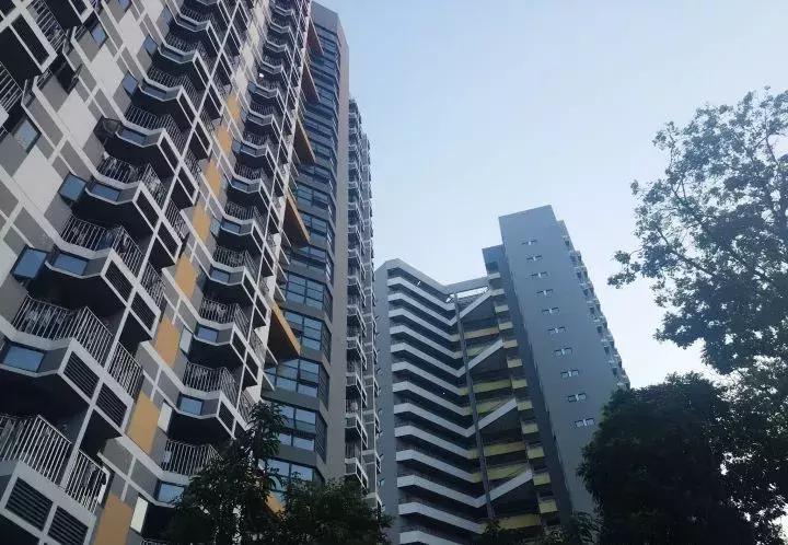 大学宿舍是个好地方,大学宿舍精致到什么程度