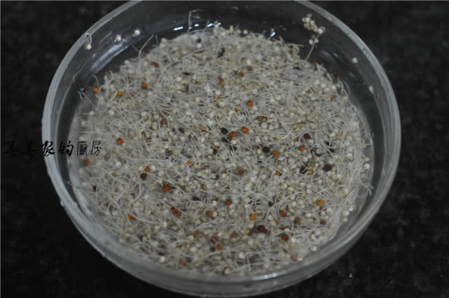 推荐一些平价的美容食物,温和又平价的美容食物