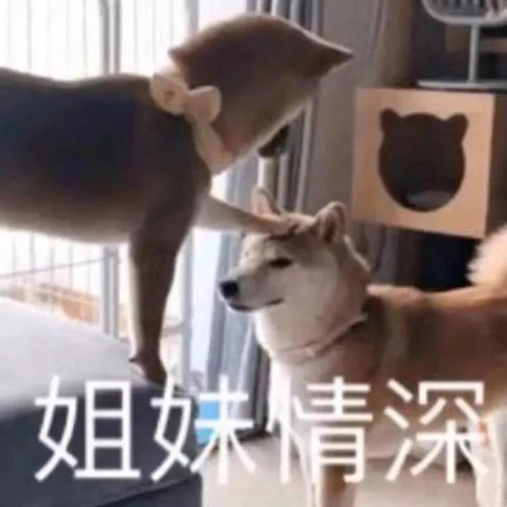 平价抗皱去黑眼圈的眼霜测评,眼霜三十天测评