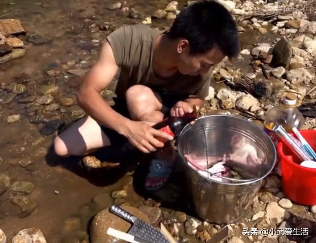 竹鼠中暑被华农兄弟埋在沙子里,华农兄弟这只竹鼠中暑了原版