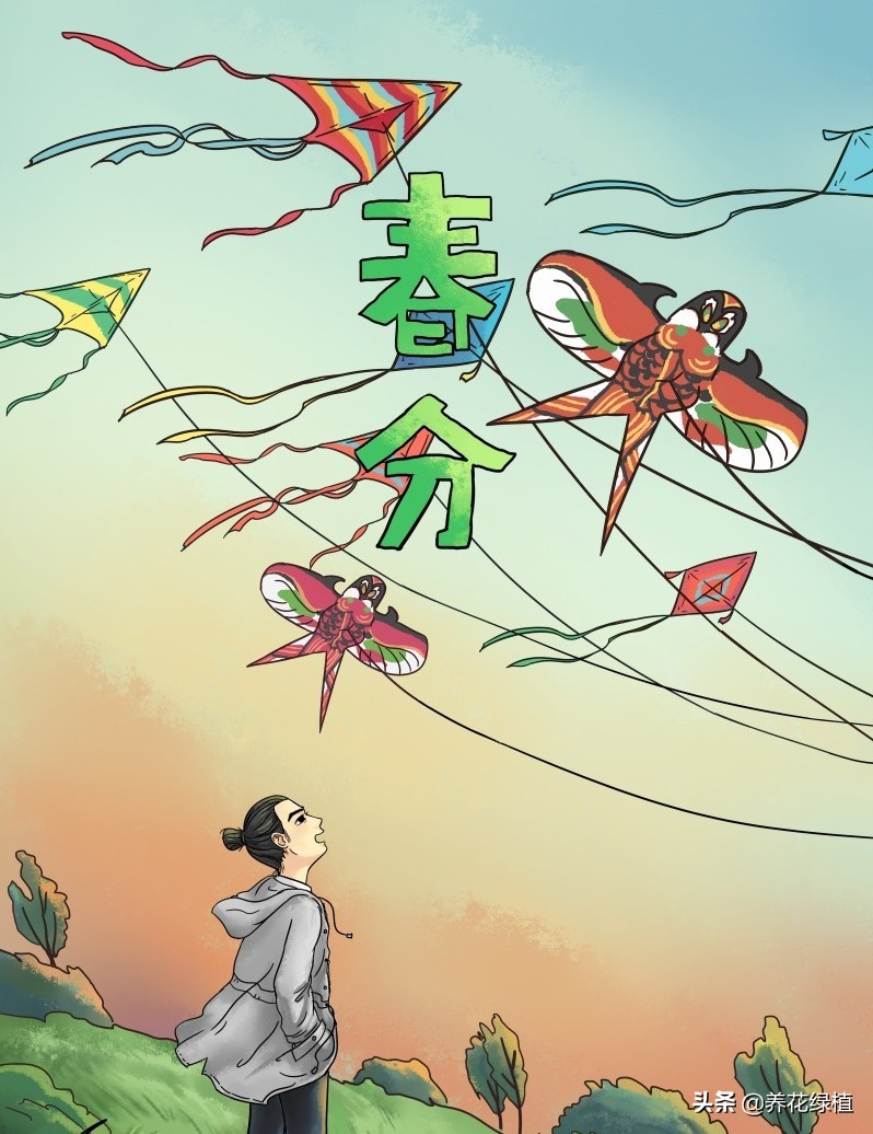 动画二十四节气春分,二十四节气春分解释