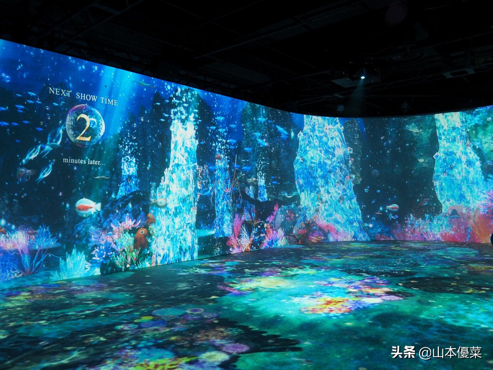 横滨游玩地点攻略,横滨旅游必去十大景点