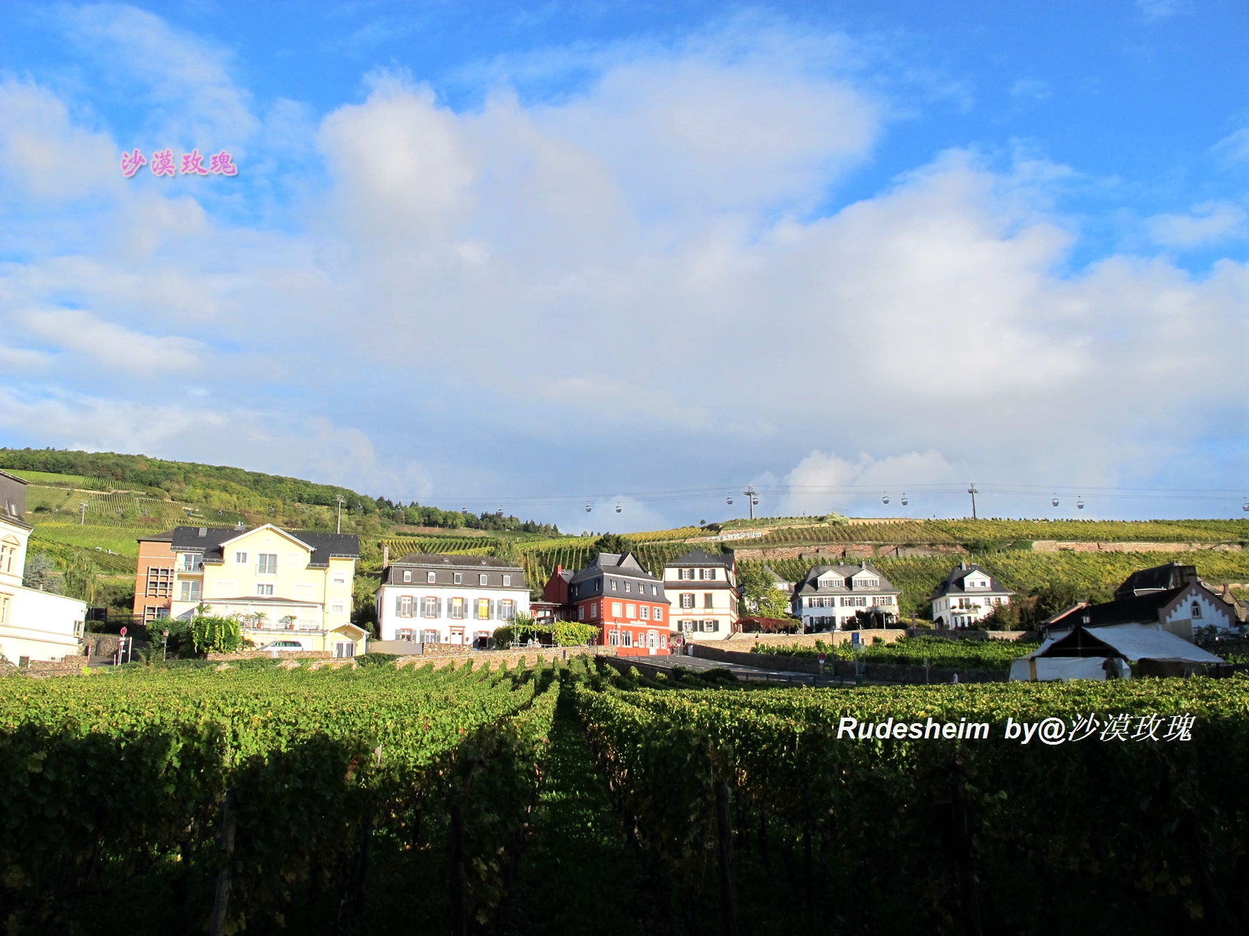 莱茵河葡萄酒小镇,莱茵河畔的葡萄小镇
