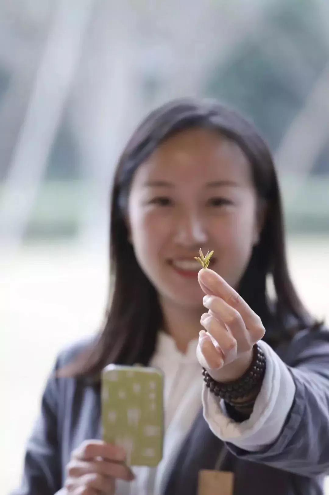 竹叶青峨眉山高山绿茶品味,三百多的竹叶青峨眉高山绿茶