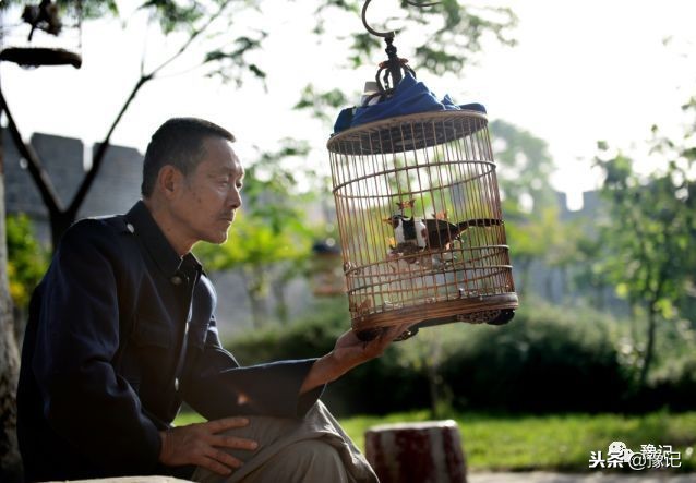 皇城根脚下,那是开封大爷遛鸟的天地