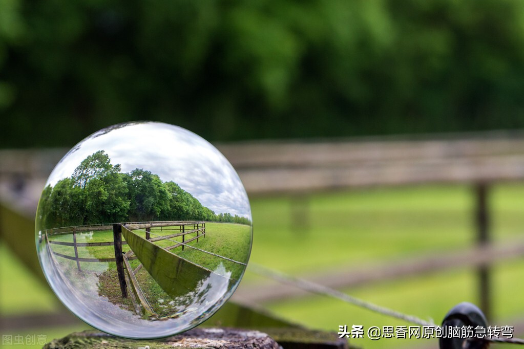 圆圆乎乎好东西，人家都是皮包骨，我却生来骨包皮（打一物）